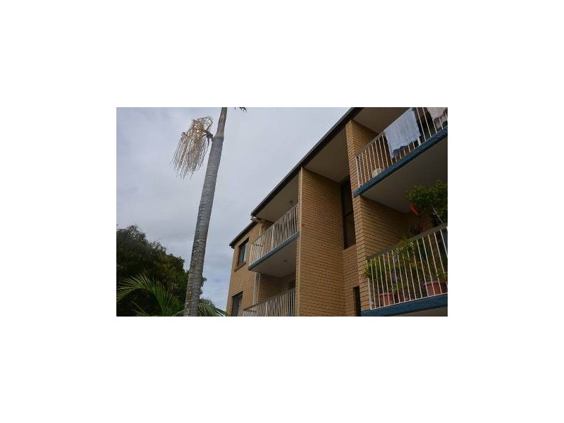 6/91 Kitchener Street, Coorparoo QLD 4151