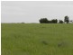 Lot 8 Fredrick Drive, Streaky Bay SA 5680