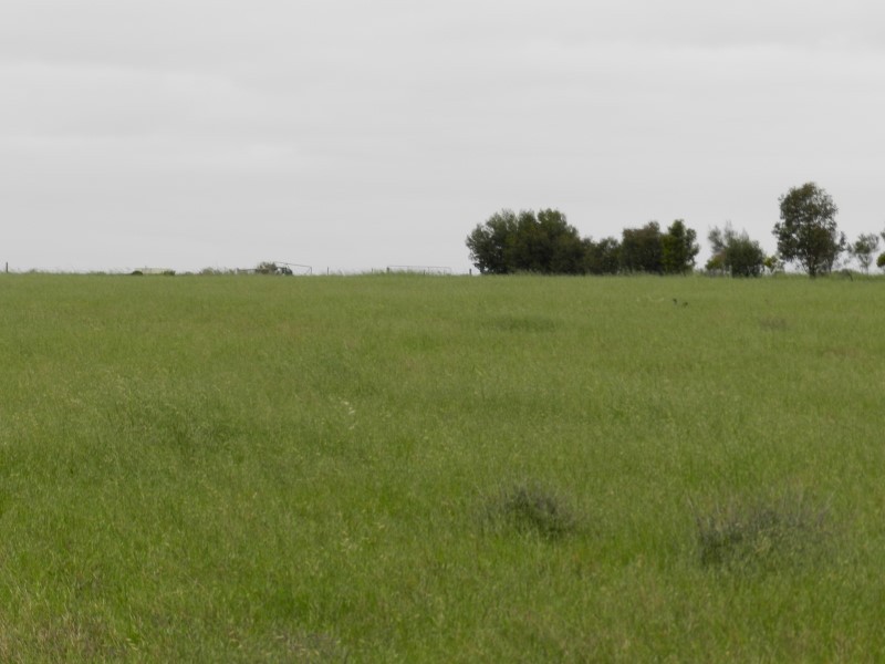 Lot 8 Fredrick Drive, Streaky Bay SA 5680