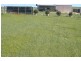 31 Loveshack Route, Streaky Bay SA 5680
