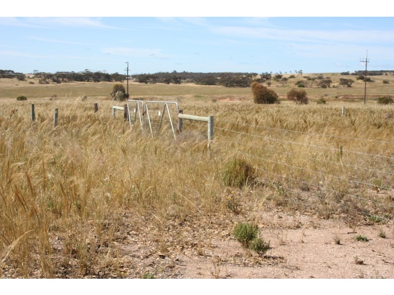 9 Back Beach Road, Streaky Bay SA 5680