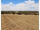 16 and 4 Meeinderry Drive and Lucy Way, Perlubie SA 5680