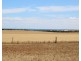 16 and 4 Meeinderry Drive and Lucy Way, Perlubie SA 5680