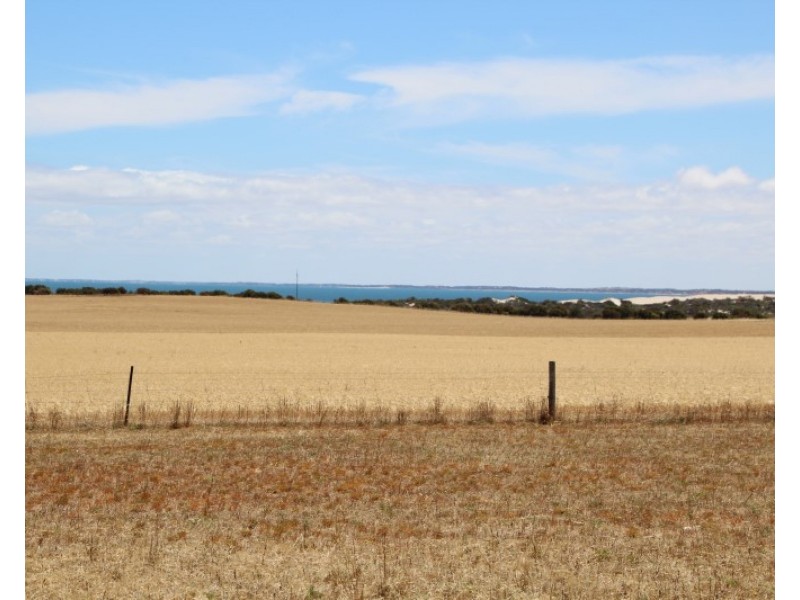 16 and 4 Meeinderry Drive and Lucy Way, Perlubie SA 5680