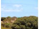 16 and 4 Meeinderry Drive and Lucy Way, Perlubie SA 5680