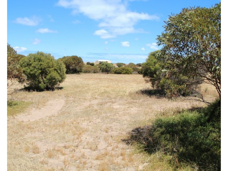 16 and 4 Meeinderry Drive and Lucy Way, Perlubie SA 5680