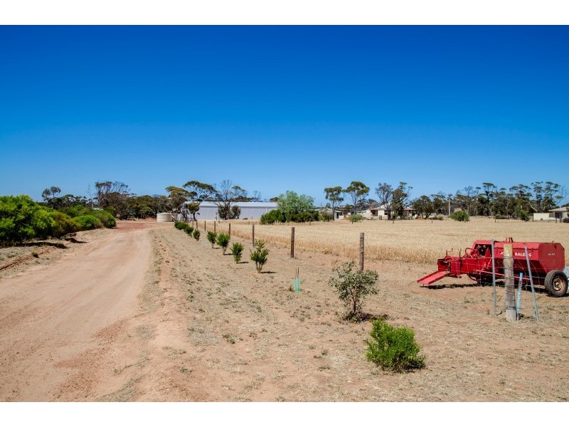 26205 Eyre Highway, Pygery SA 5655