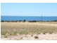 Lot 1 Little Islands Road, Streaky Bay SA 5680