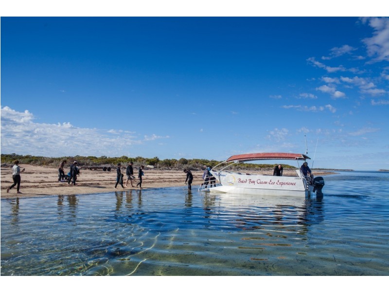 33-35 Baird Bay Road, Baird Bay SA 5671