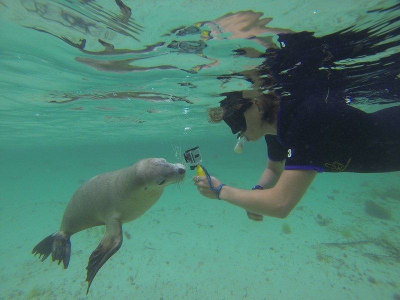 33-35 Baird Bay Road, Baird Bay SA 5671