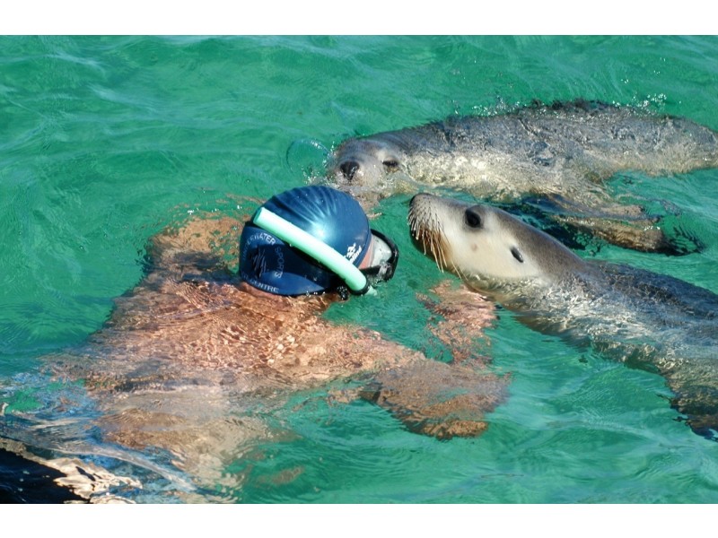 33-35 Baird Bay Road, Baird Bay SA 5671