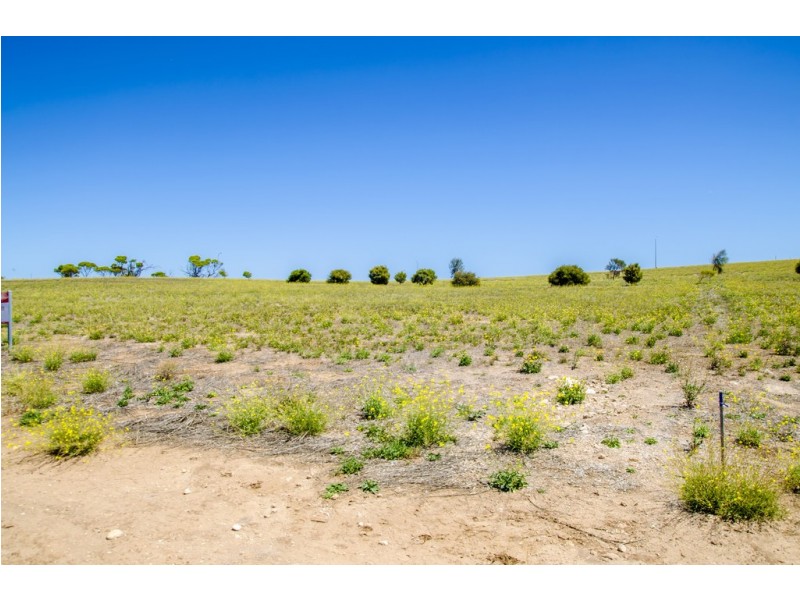 51 Oscar Williams Drive, Streaky Bay SA 5680