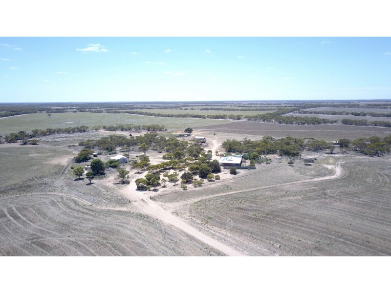 349 The Grub Road, Perlubie, Streaky Bay SA 5680