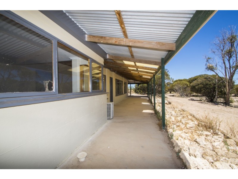 349 The Grub Road, Perlubie, Streaky Bay SA 5680