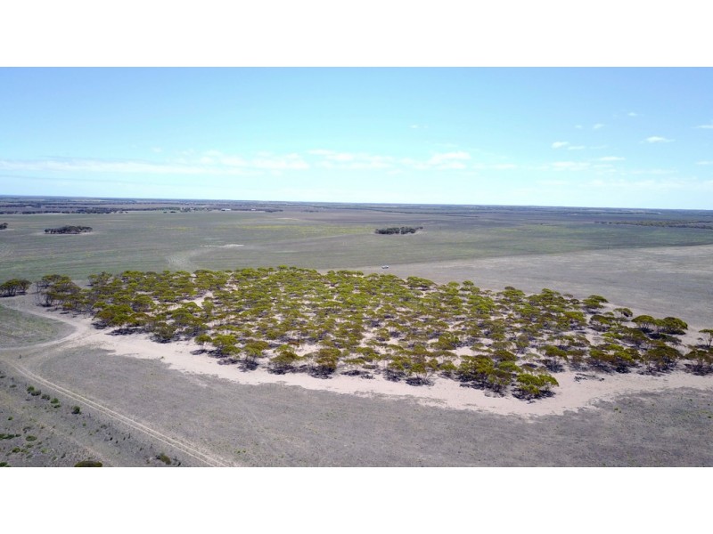 34 Hammat Road, Haslam, Streaky Bay SA 5680