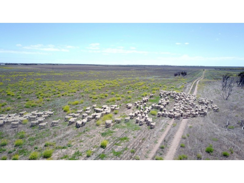 34 Hammat Road, Haslam, Streaky Bay SA 5680
