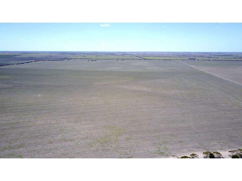 34 Hammat Road, Haslam, Streaky Bay SA 5680