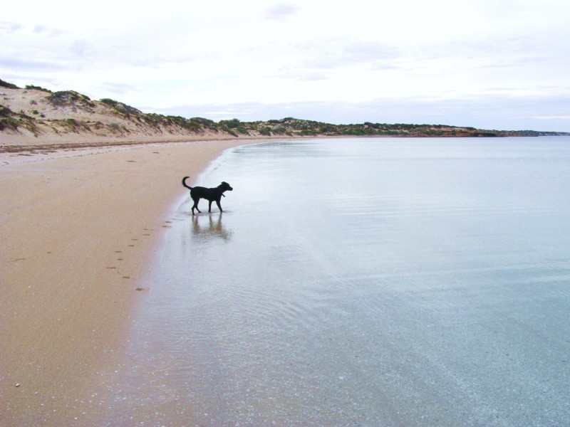 38031B Flinders Highway, LAURA BAY, Ceduna SA 5690