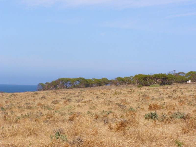 38031B Flinders Highway, LAURA BAY, Ceduna SA 5690