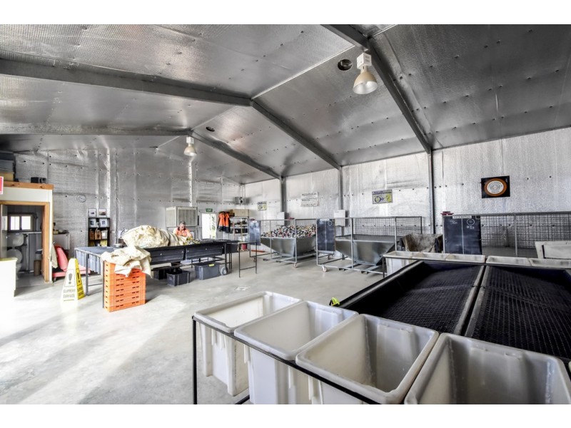 9 McCormack Way, Streaky Bay SA 5680