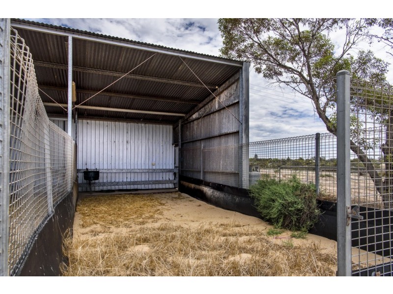 122 Wallschutzky Road, Streaky Bay SA 5680