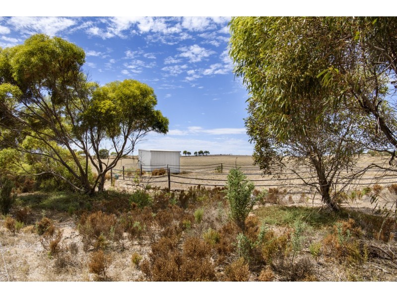 122 Wallschutzky Road, Streaky Bay SA 5680