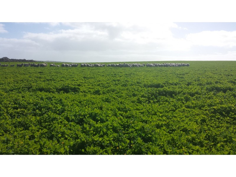 3B Woodlawn Rd, Streaky Bay SA 5680