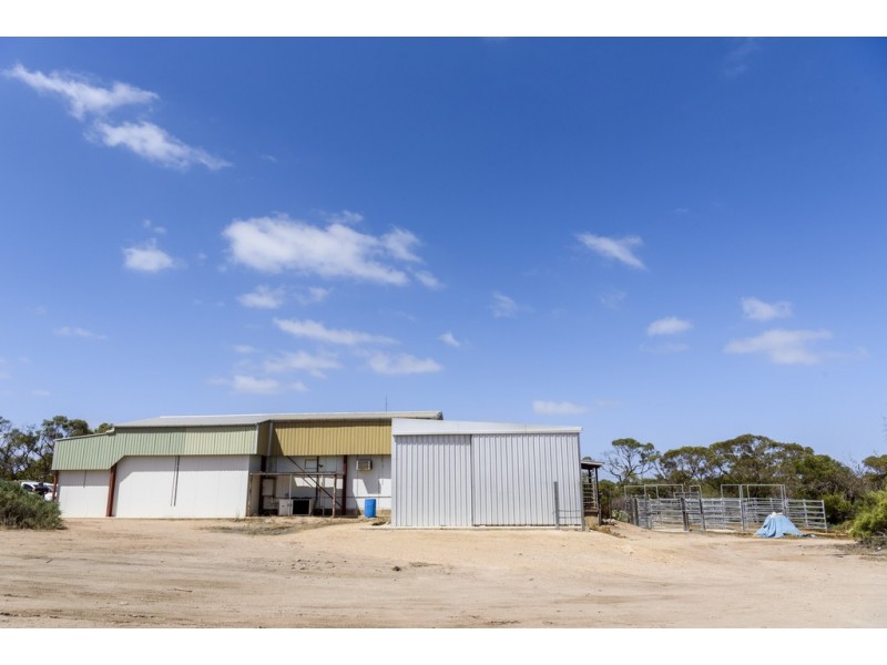 55 Wells Street, Streaky Bay SA 5680