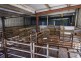 55 Wells Street, Streaky Bay SA 5680