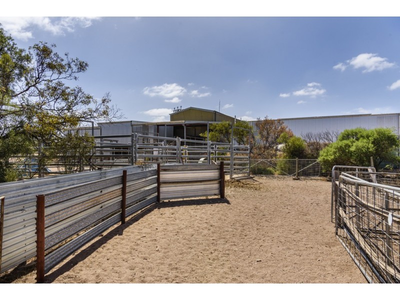 55 Wells Street, Streaky Bay SA 5680