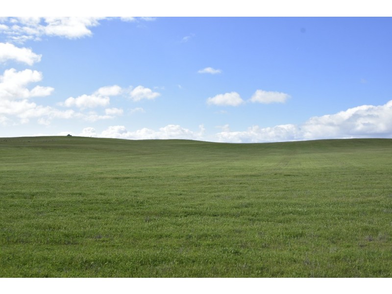 468 Back Beach Road, Streaky Bay SA 5680