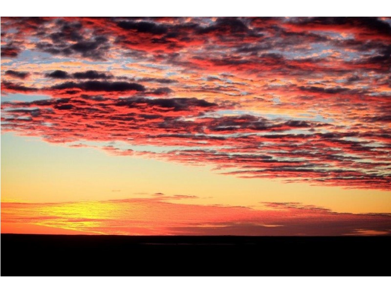 Various Allots Westall Way Loop, Westall SA 5680