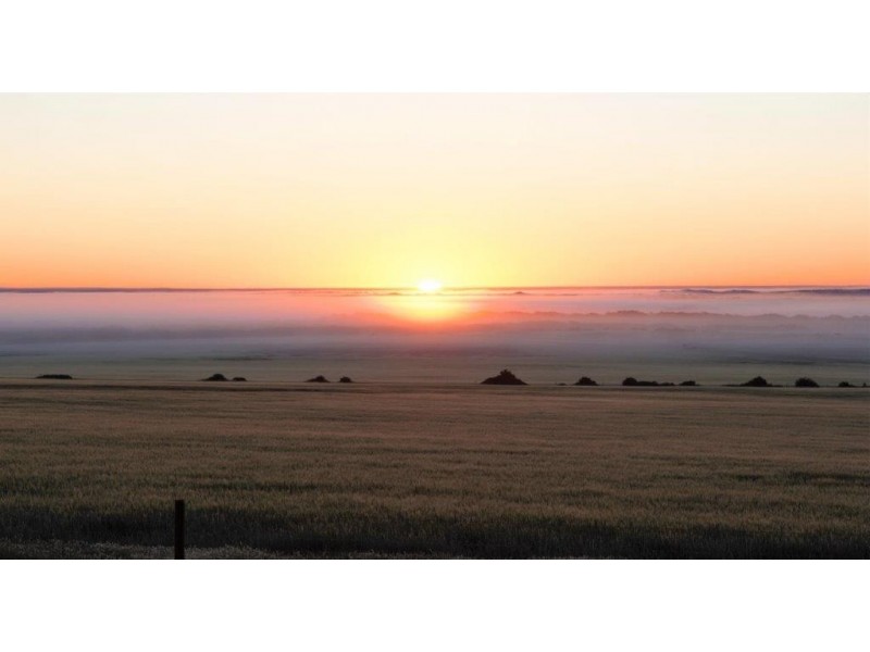 Various Allots Westall Way Loop, Westall SA 5680