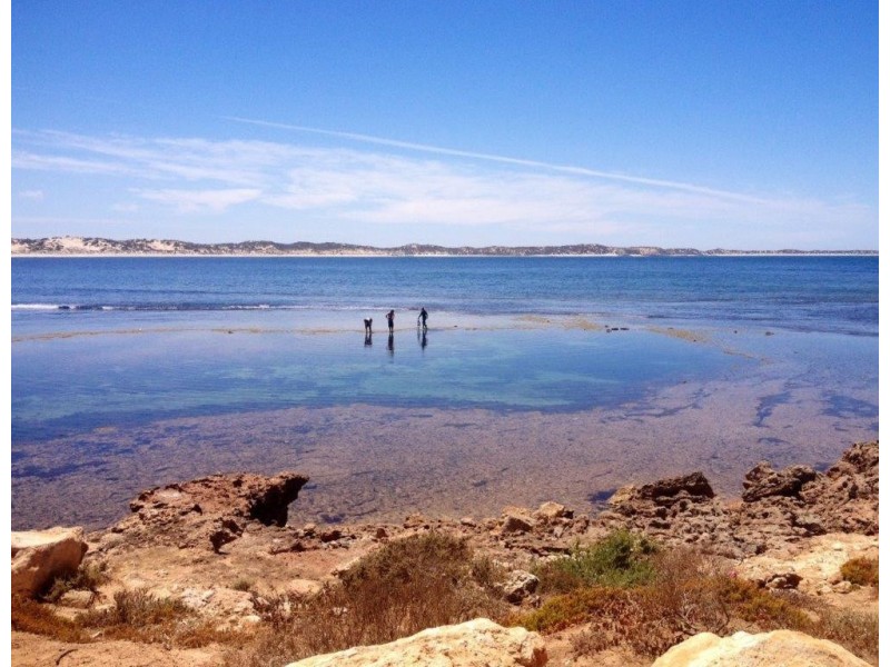 Various Allots Westall Way Loop, Westall SA 5680