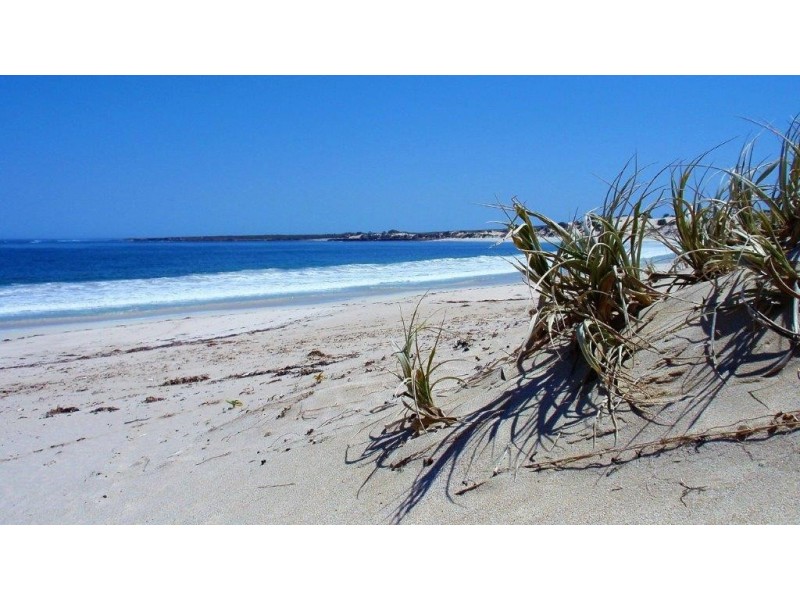 Various Allots Westall Way Loop, Westall SA 5680