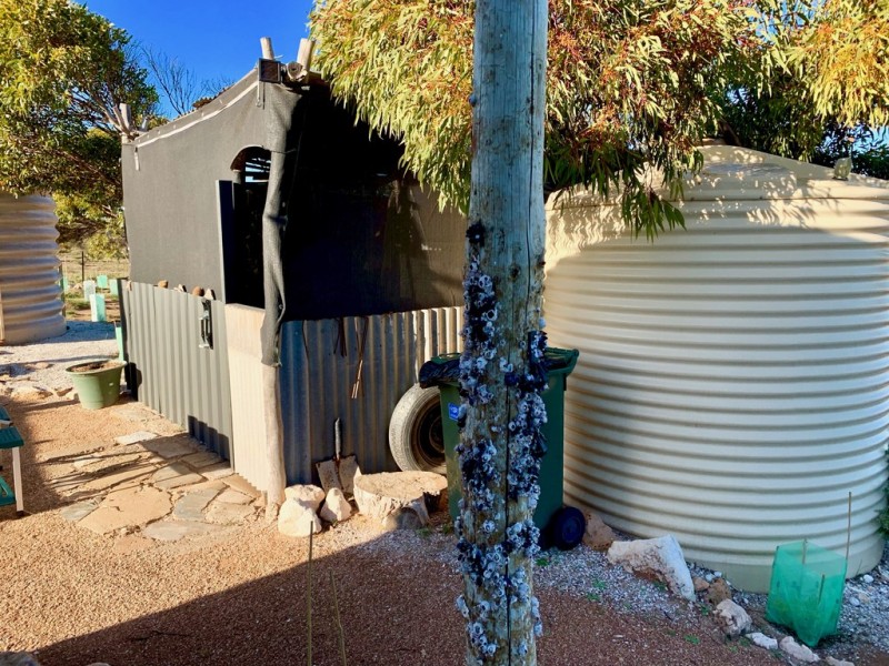 1 Woolamai Way, Perlubie SA 5680