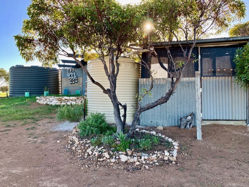 1 Woolamai Way, Perlubie SA 5680
