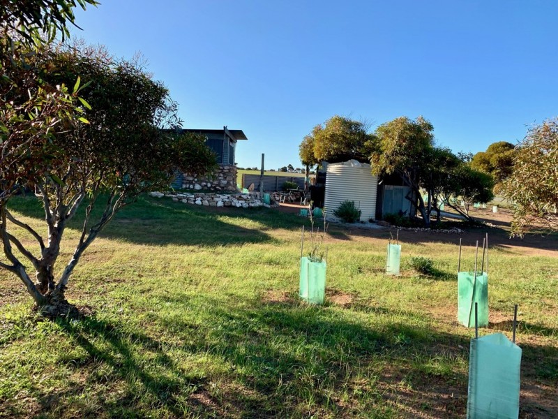 1 Woolamai Way, Perlubie SA 5680