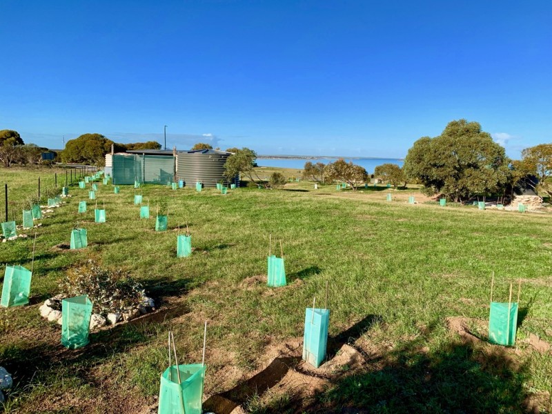 1 Woolamai Way, Perlubie SA 5680