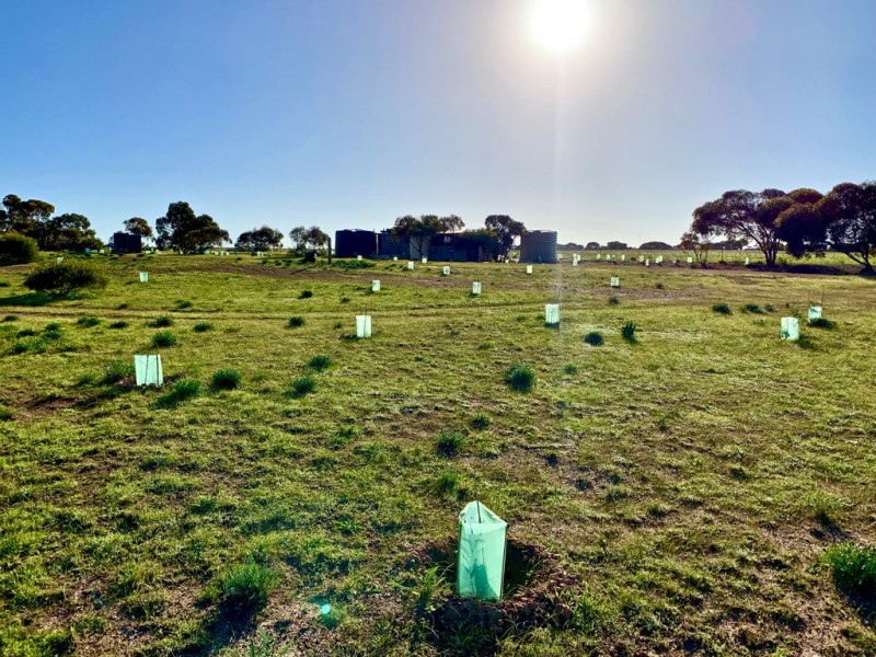 1 Woolamai Way, Perlubie SA 5680