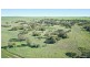 Section 50 Flinders Hwy, Streaky Bay SA 5680