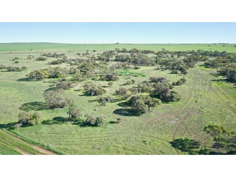 Section 50 Flinders Hwy, Streaky Bay SA 5680