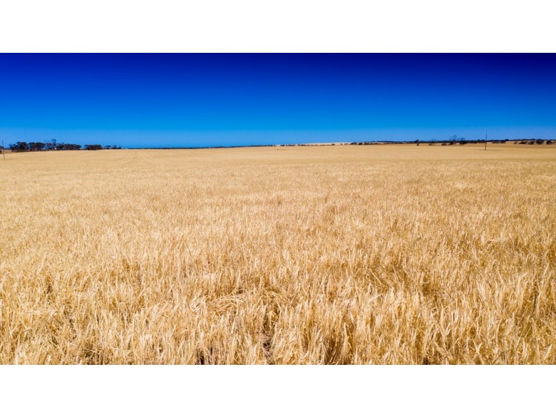 Various Allots The Grub Road, Perlubie SA 5680