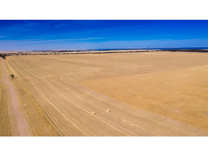 Various Allots The Grub Road, Perlubie SA 5680