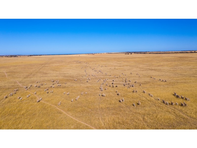 Various Allots The Grub Road, Perlubie SA 5680