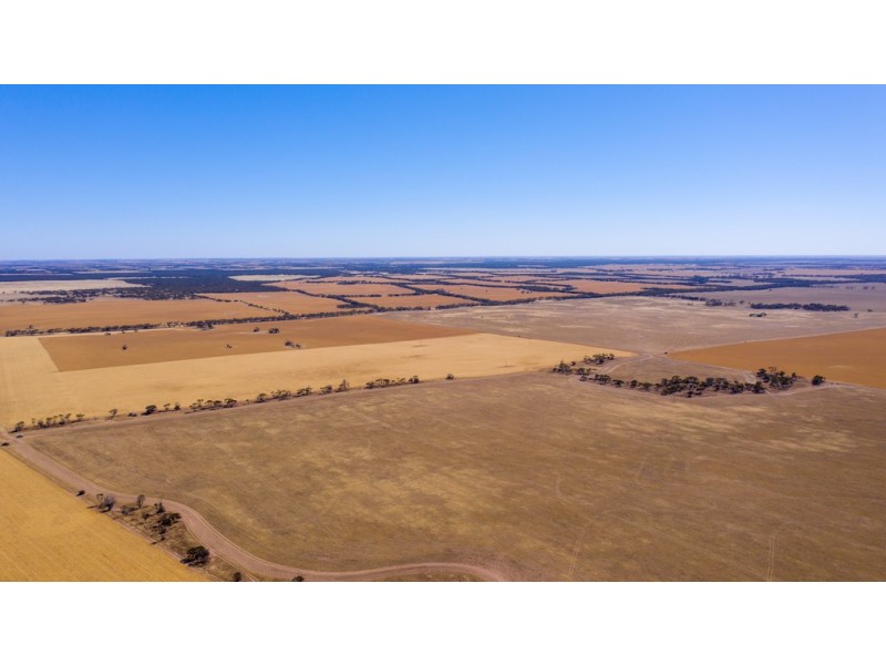 Various Allots The Grub Road, Perlubie SA 5680