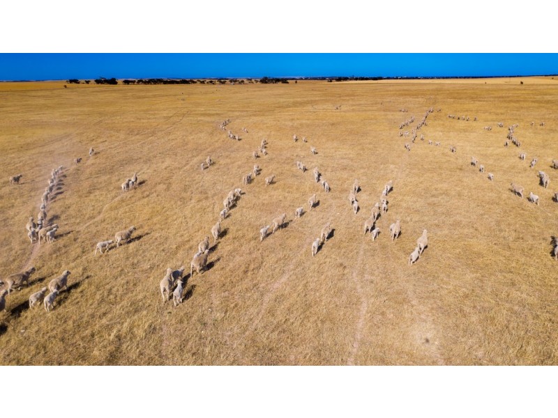 Various Allots The Grub Road, Perlubie SA 5680