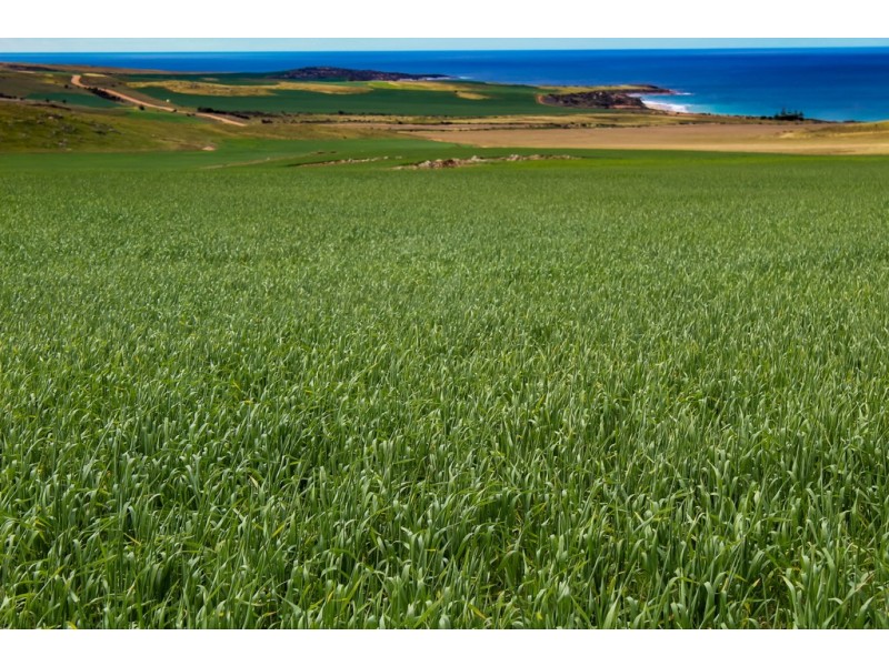 Section 425 Kiandra Road, Lipson SA 5607