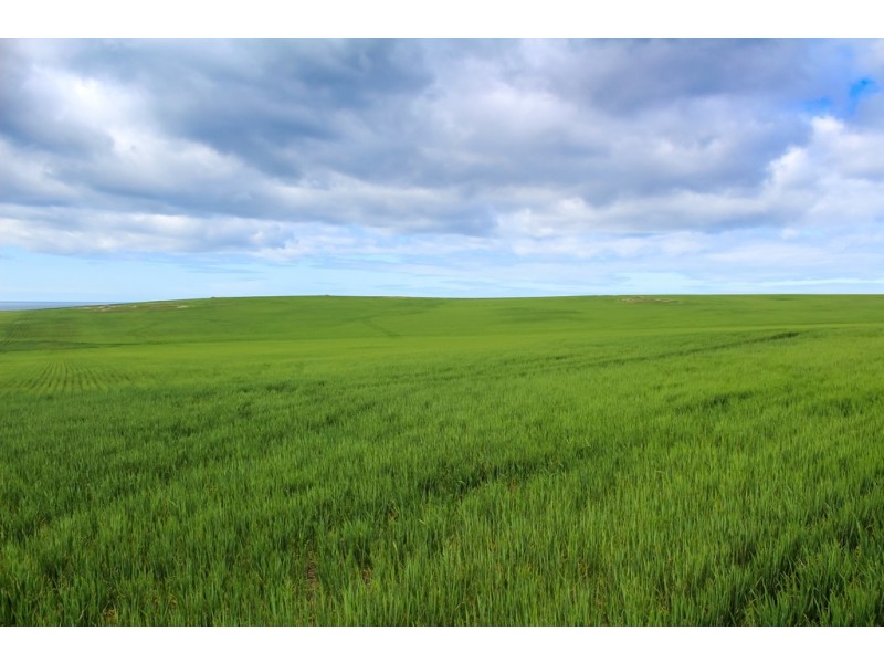 Section 425 Kiandra Road, Lipson SA 5607