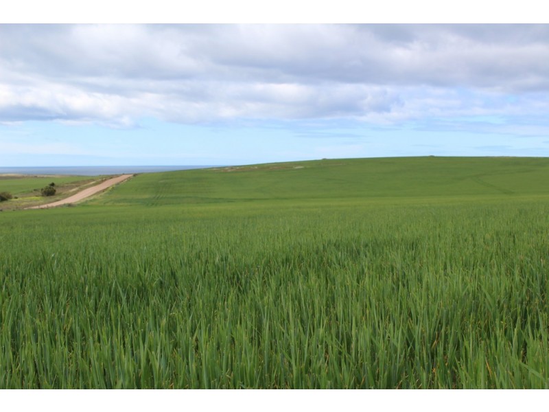 Section 425 Kiandra Road, Lipson SA 5607